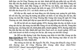 đề nghị hỗ trợ kết nối tiêu thụ vải thiều và các nông sản chủ lực, đặc trưng tỉnh Bắc Giang năm 2023