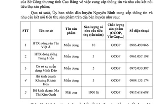 Cung cấp thông tin và nhu cầu kết nối tiêu thụ sản phẩm huyện Nguyên Bình năm 2023