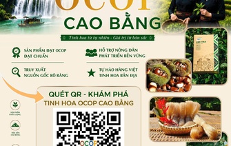 ĐẨY MẠNH QUẢNG BÁ VÀ TIÊU THỤ SẢN PHẨM OCOP CAO BẰNG QUA MÃ QR CODE DỰ ÁN SỐ