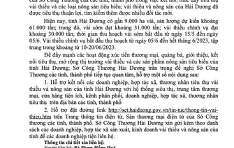 về việc đề nghị hỗ trợ kết nối tiêu thụ vải thiều và nông sản tiêu biểu tỉnh Hải Dương