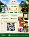ĐẨY MẠNH QUẢNG BÁ VÀ TIÊU THỤ SẢN PHẨM OCOP CAO BẰNG QUA MÃ QR CODE DỰ ÁN SỐ
