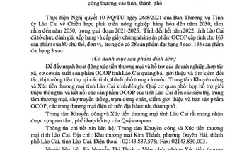 hỗ trợ kết nối, xúc tiến thương mại sản phẩm OCOP tỉnh Lào cai